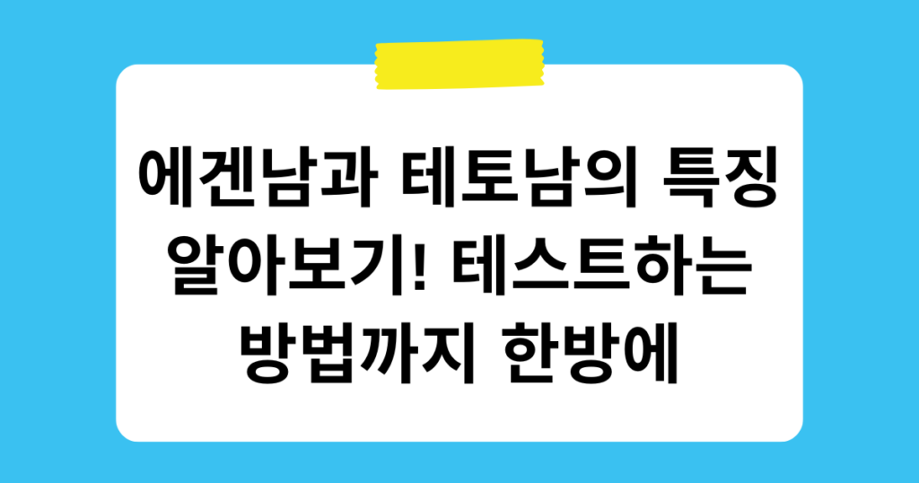 에겐남과 테토남의 특징 알아보기! 테스트하는 방법까지 한방에